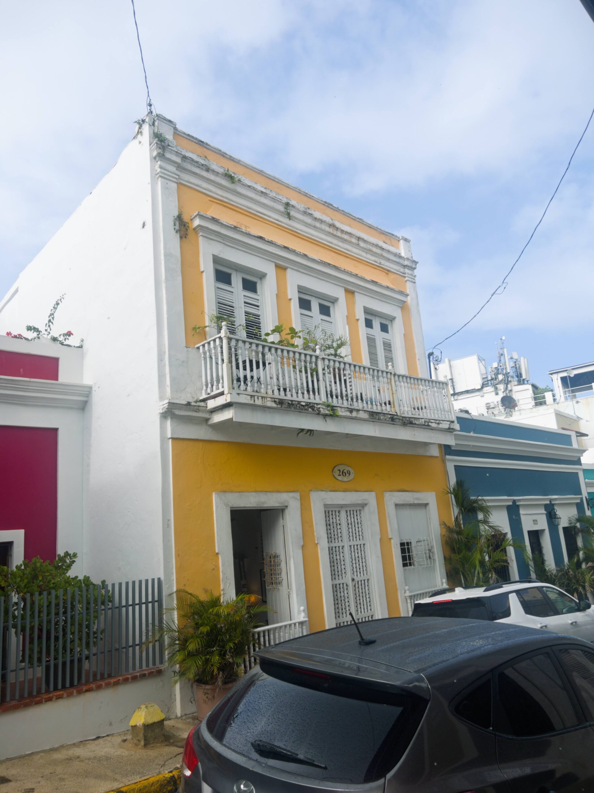 Puerto Rico Adventures: Iguanas, Forests, and a Beautiful Celebration