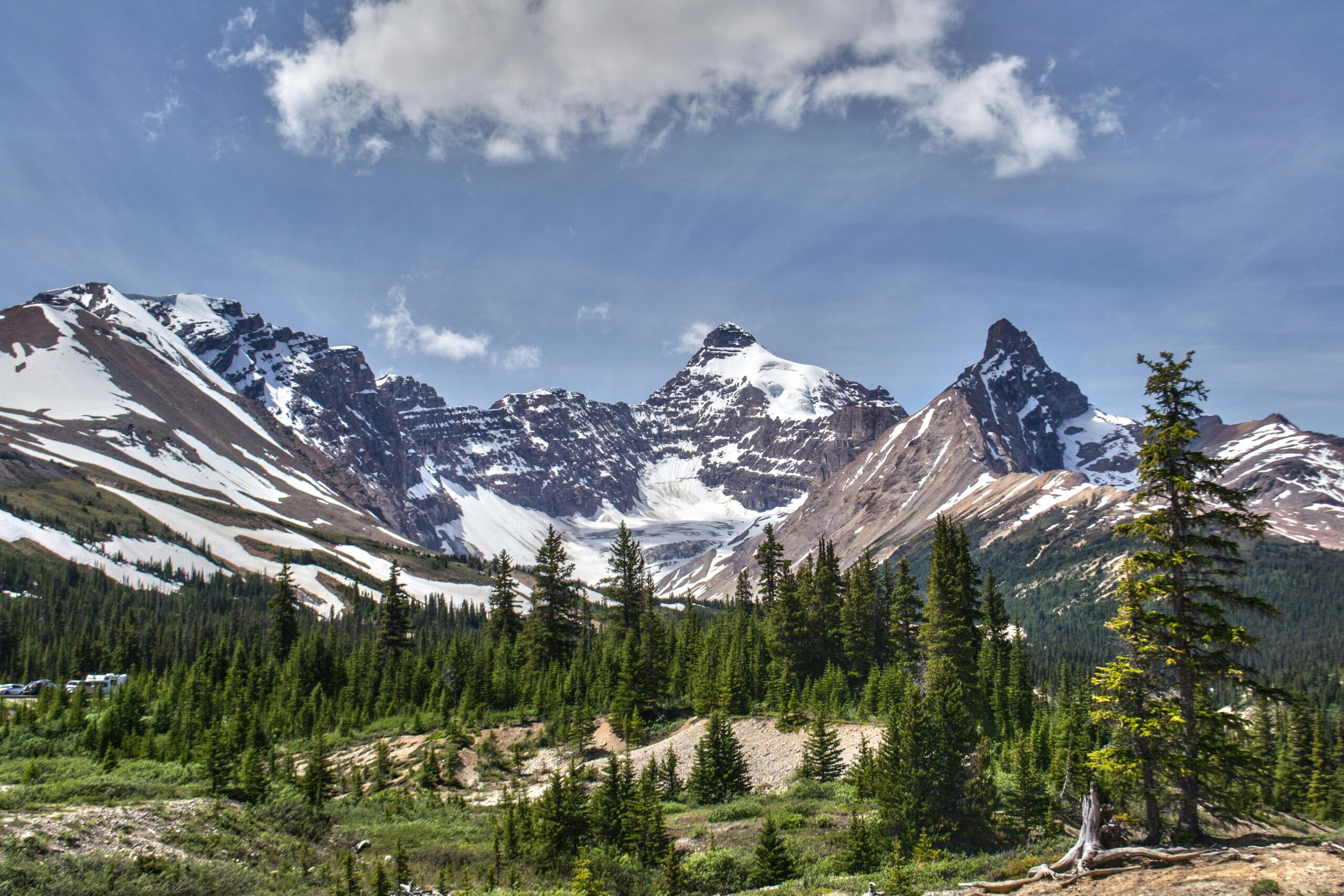 My Epic Summer: Travel Plans, Time Off, and Big Adventures Ahead